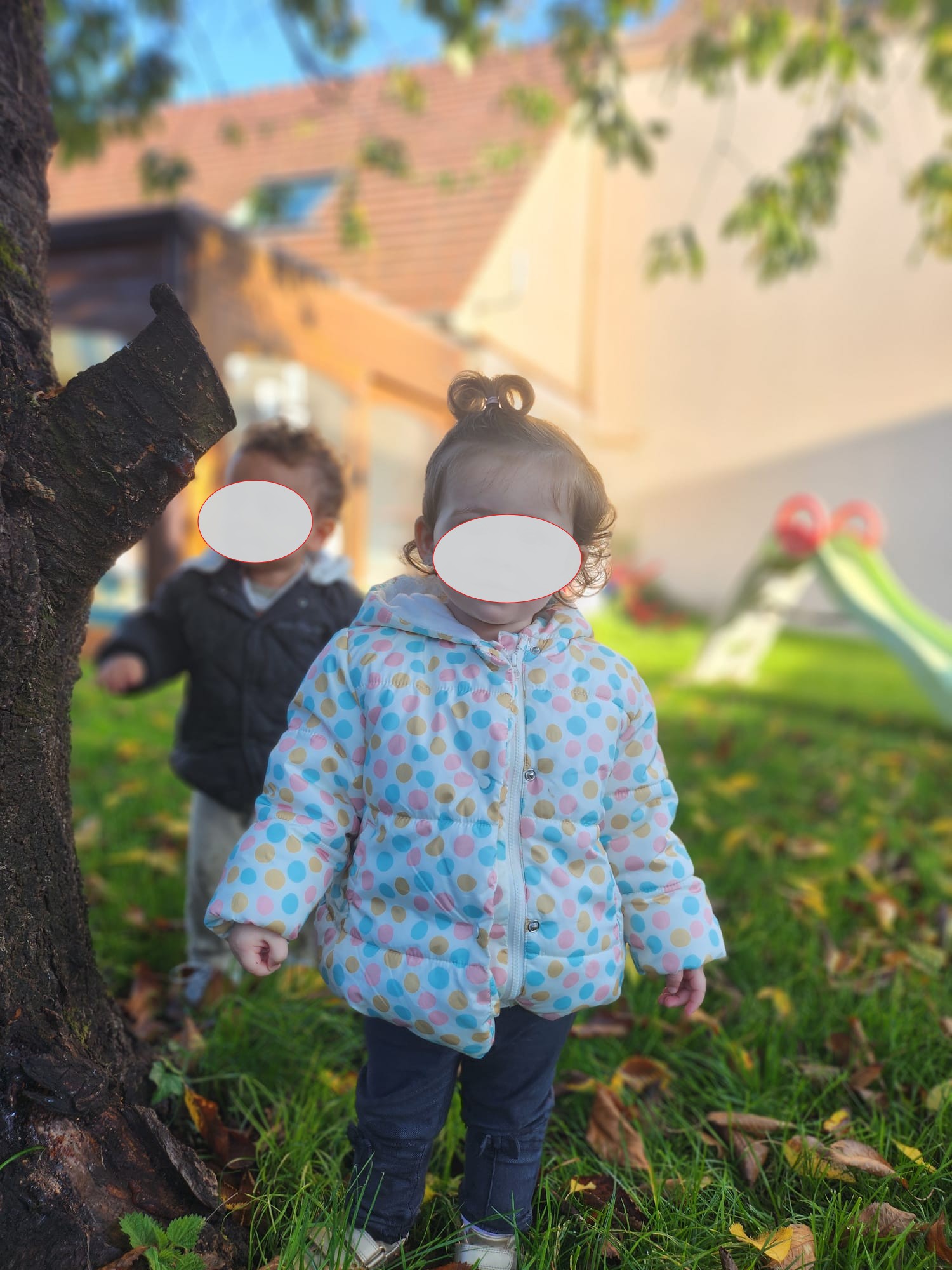 whatsapp image 2024 10 27 à 20.24.31 eb750bc8